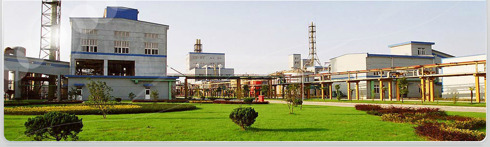 Nanjing Shangren Chemical Industrial Co., Ltd

